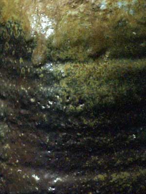 InbeTOKKURI
